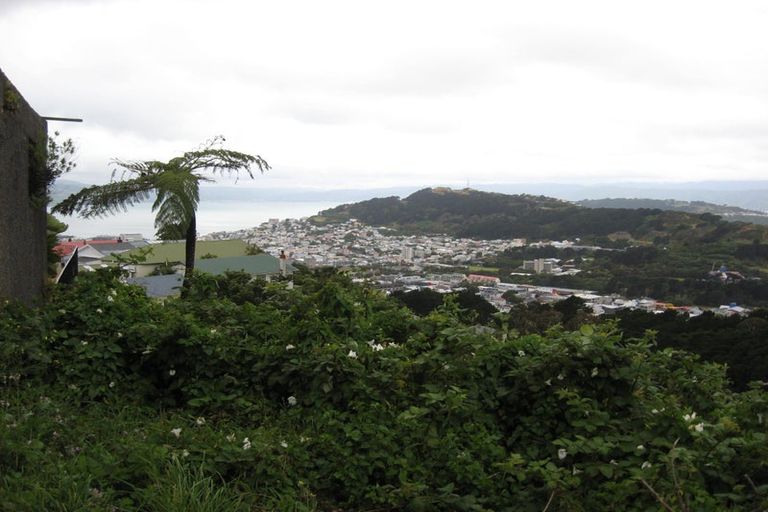 Photo of property in 117 Washington Avenue, Brooklyn, Wellington, 6021