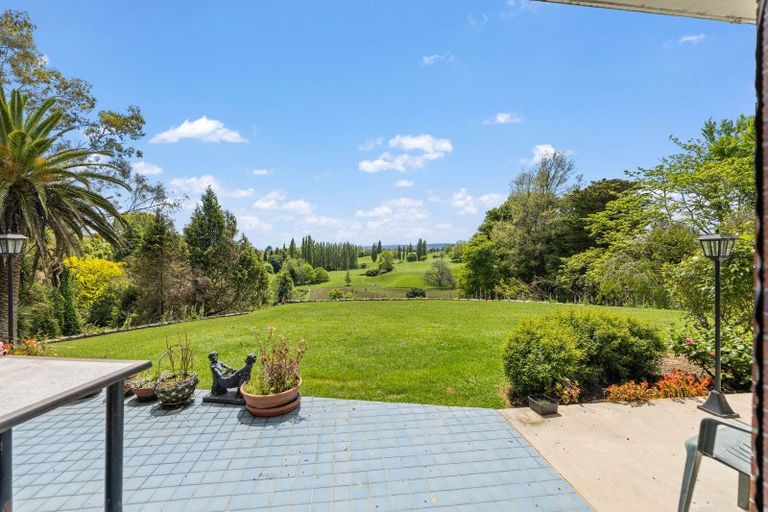 Photo of property in 16 Norrie Place, Putaruru, 3411