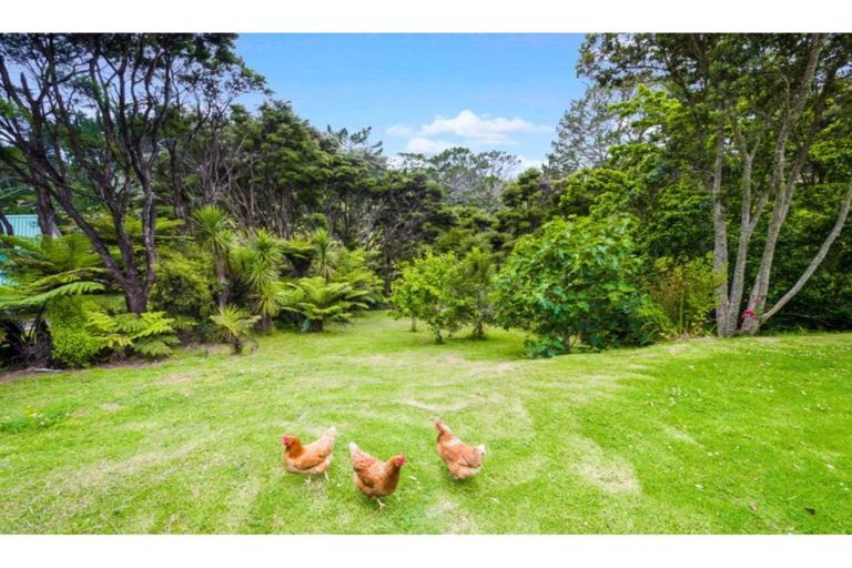 Photo of property in 43 Mcentee Road, Waitakere, Auckland, 0816