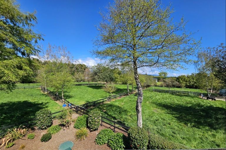 Photo of property in 80 Avenue North Road, Levin, 5510