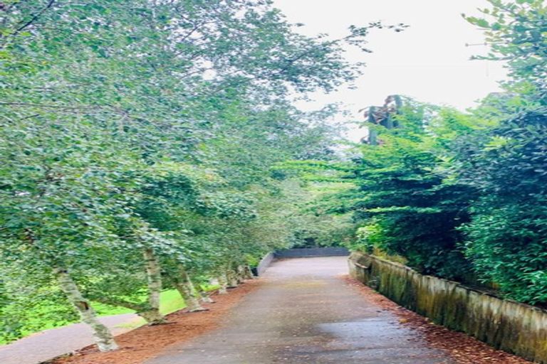 Photo of property in 141a Grange Road, Otumoetai, Tauranga, 3110