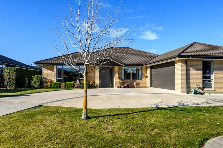 Photo of property in 4 Balmoral Mews, Springlands, Blenheim, 7201