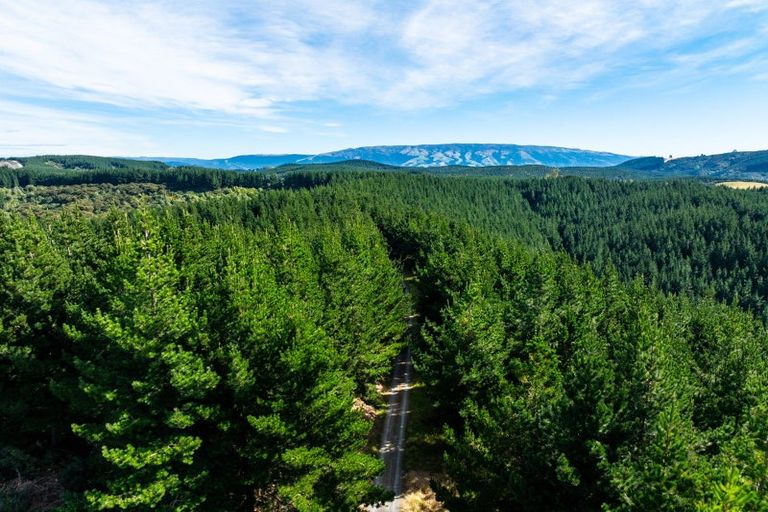 Photo of property in 689 Big Stone Road, Kuri Bush, Dunedin, 9091