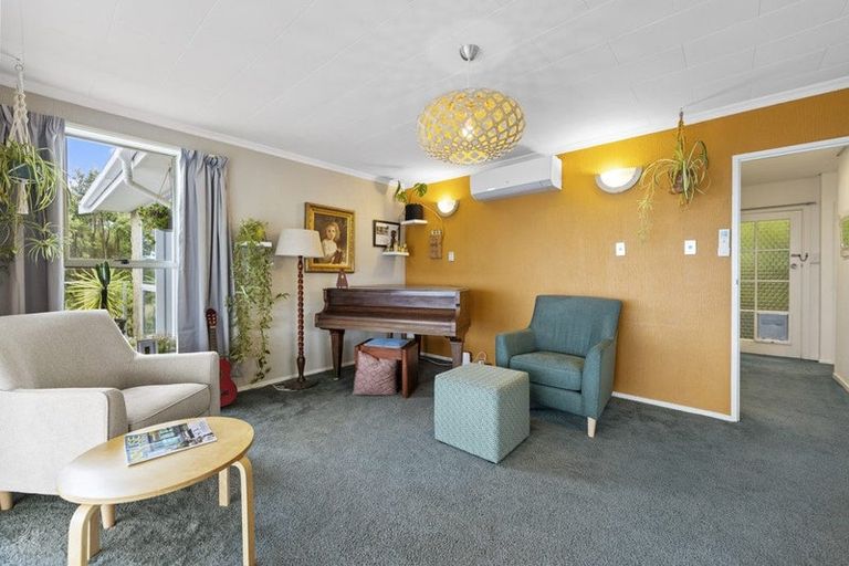 Photo of property in 58 Tomahawk Road, Andersons Bay, Dunedin, 9013