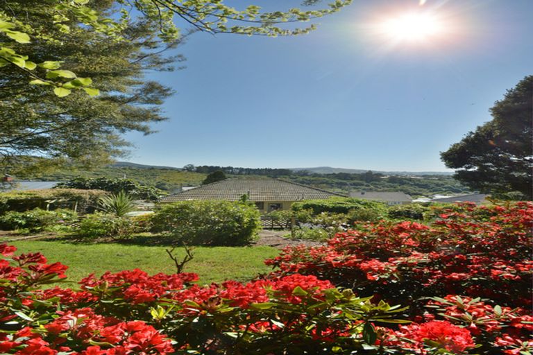 Photo of property in 177 Brockville Road, Brockville, Dunedin, 9011