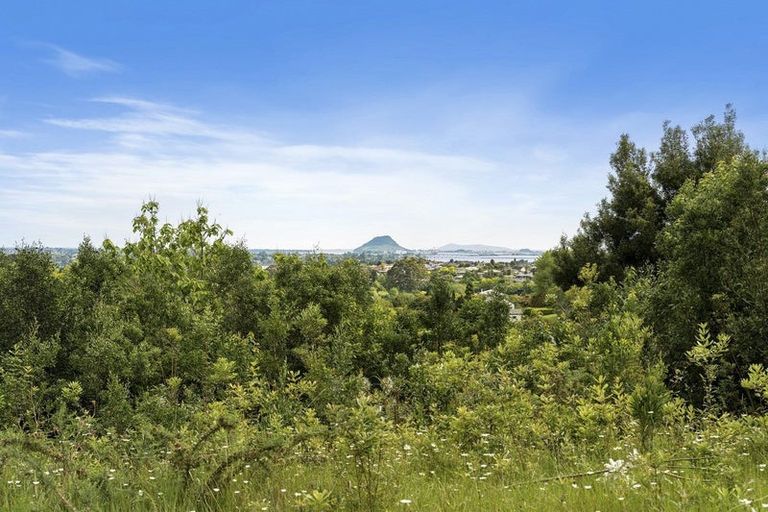 Photo of property in 3175l Ohauiti Road, Ohauiti, Tauranga, 3173