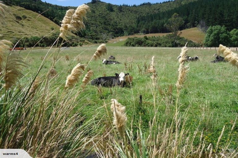 Photo of property in 964 Whitemans Valley Road, Whitemans Valley, Upper Hutt, 5371