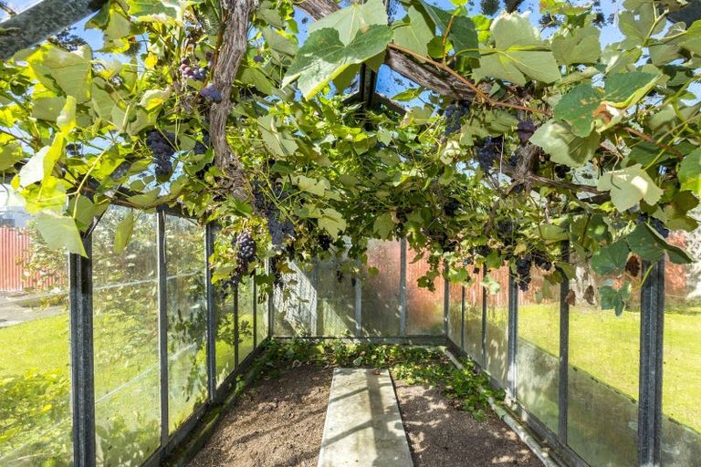 Photo of property in 18 Mccurdy Street, Elderslea, Upper Hutt, 5018