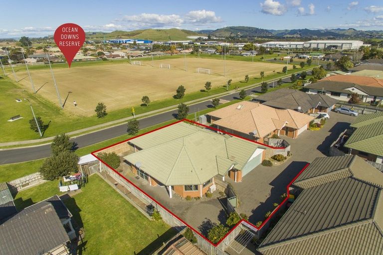 Photo of property in 25 Francevic Avenue, Mount Maunganui, 3116