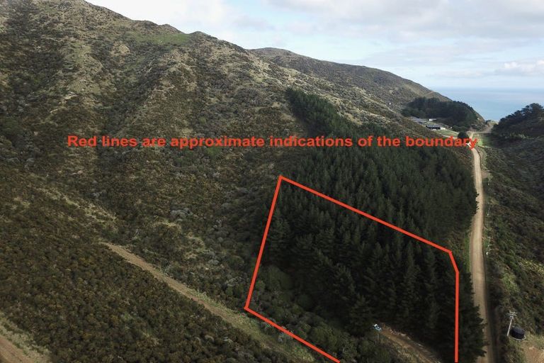 Photo of property in Long Gully Farm, 391 Southernthread Road, Brooklyn, Wellington, 6021