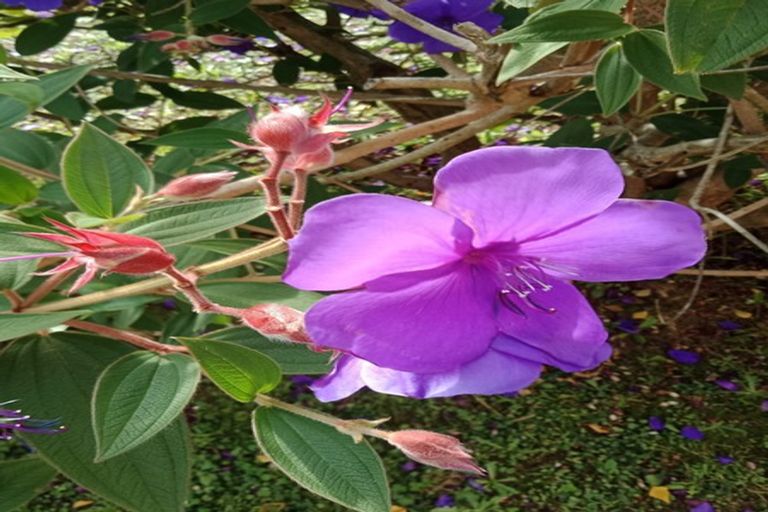 Photo of property in 4/64 Gibbons Street, Ebdentown, Upper Hutt, 5018