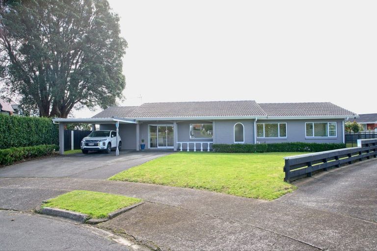 Photo of property in 19 Linklater Avenue, Bellevue, Tauranga, 3110