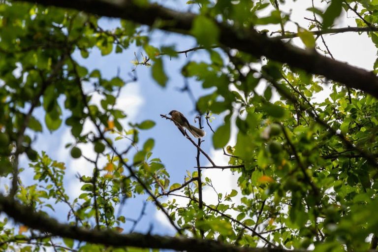 Photo of property in 42 Lawrence Road, Waihi, 3610