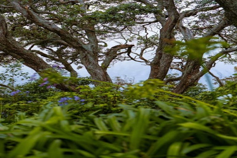 Photo of property in 37 Pohutukawa Drive, Athenree, Katikati, 3177