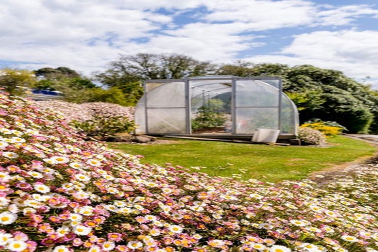 Photo of property in 7 Tenby Street, Moeraki, Palmerston, 9482