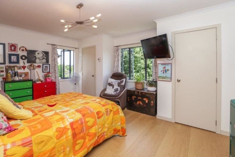 Photo of property in 19a Thomson Avenue, Dinsdale, Hamilton, 3204