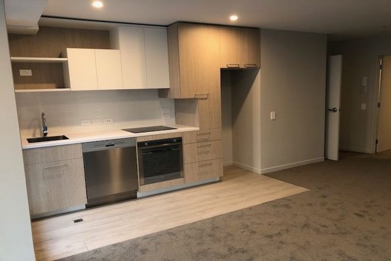 Photo of property in Vsp South, 105/168 Victoria Street, Te Aro, Wellington, 6011