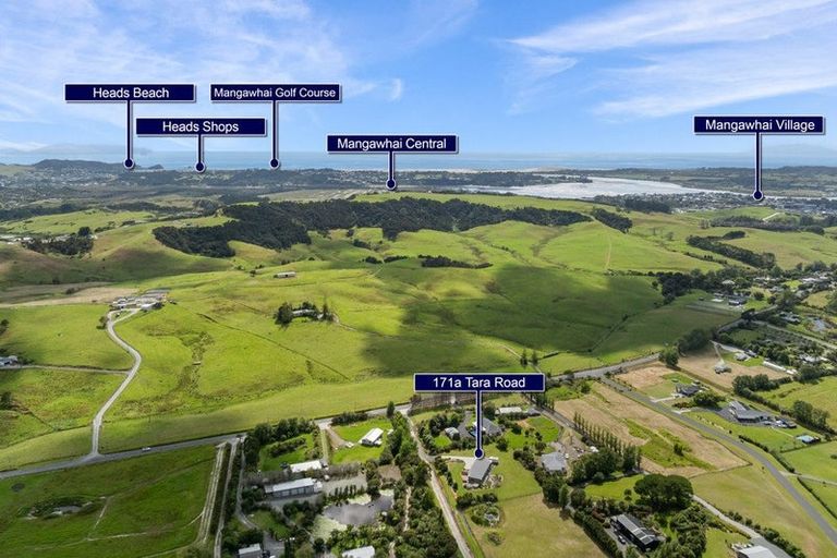 Photo of property in 171a Tara Road, Mangawhai, Kaiwaka, 0573