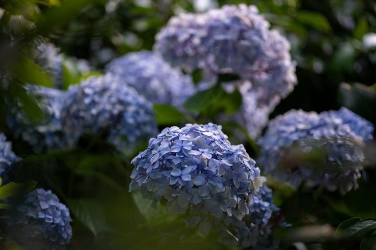 Photo of property in 42 Guildford Drive, Paraparaumu, 5032