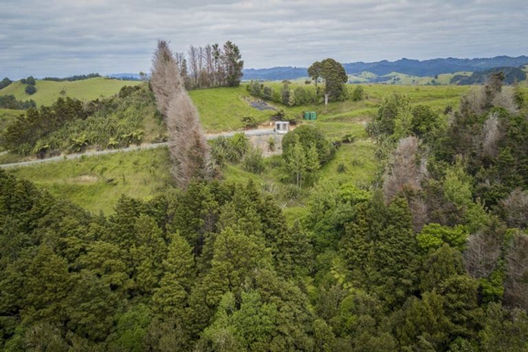 Photo of property in 98 Kiwi Bush Lane, Ngunguru, Whangarei, 0173