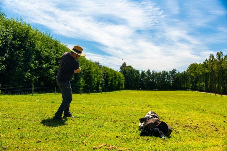 Photo of property in 459 Flora East, Makarewa, Invercargill, 9876