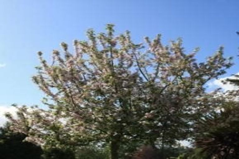 Photo of property in 47 Wordsworth Street, Leamington, Cambridge, 3432