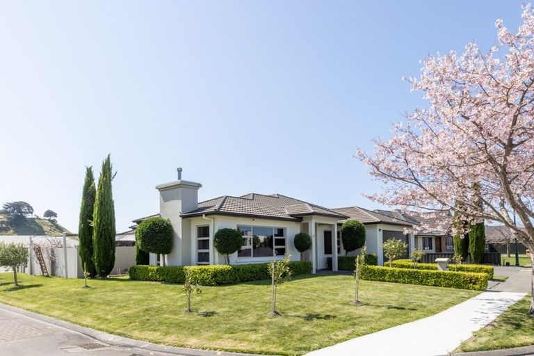 Photo of property in 3 Pinotage Drive, Greenmeadows, Napier, 4112