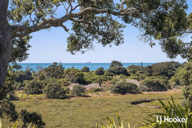 Photo of property in 153 Koutunui Road, Athenree, Katikati, 3177