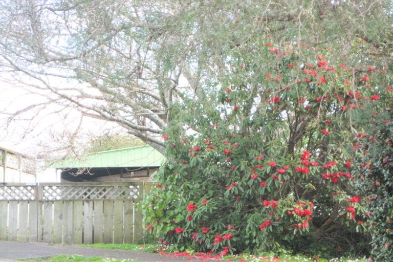 Photo of property in 18 Anne Street, Ferndale, New Plymouth, 4310