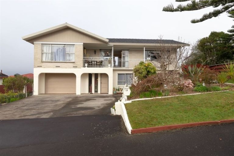 Photo of property in 19 Ridout Street, Maeroa, Hamilton, 3200