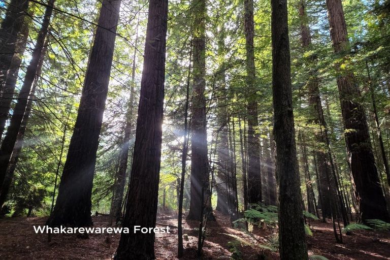 Photo of property in 3 Jameson Avenue, Fenton Park, Rotorua, 3010