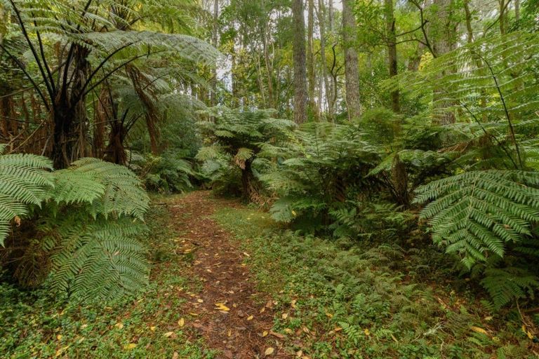 Photo of property in 125 Boscabel Drive, Ohauiti, Tauranga, 3112