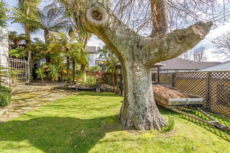 Photo of property in 24b Wylie Street, Glenholme, Rotorua, 3010