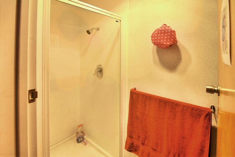 Photo of property in 43 Oak Street, Masterton, 5810