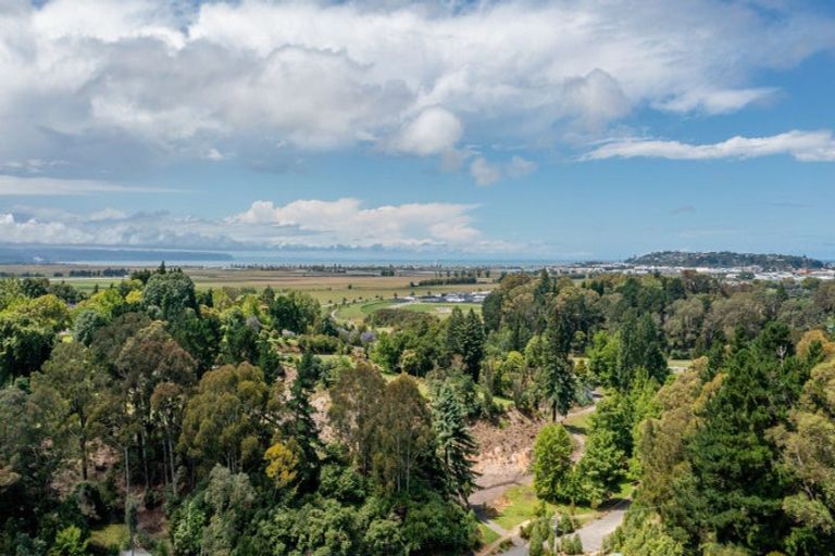 Photo of property in 88 Oak Road, Poraiti, Napier, 4112