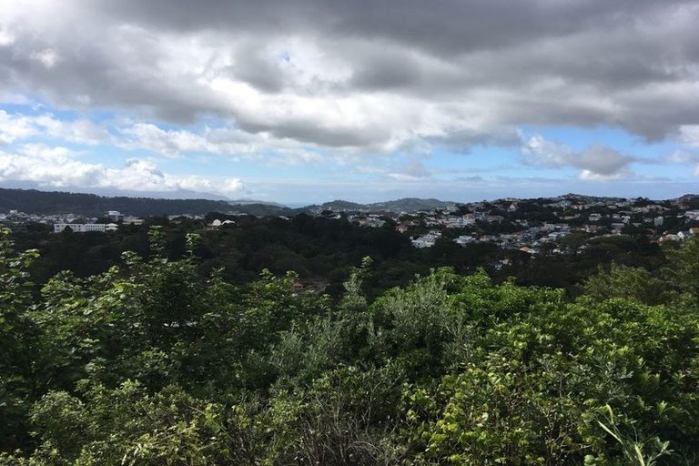 Photo of property in 60 Orangi Kaupapa Road, Northland, Wellington, 6012