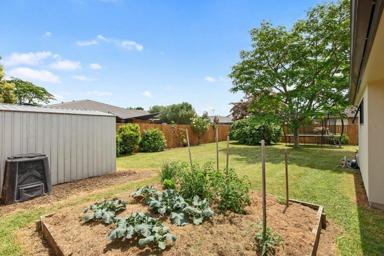 Photo of property in 41 Tuirangi Street, Flagstaff, Hamilton, 3210