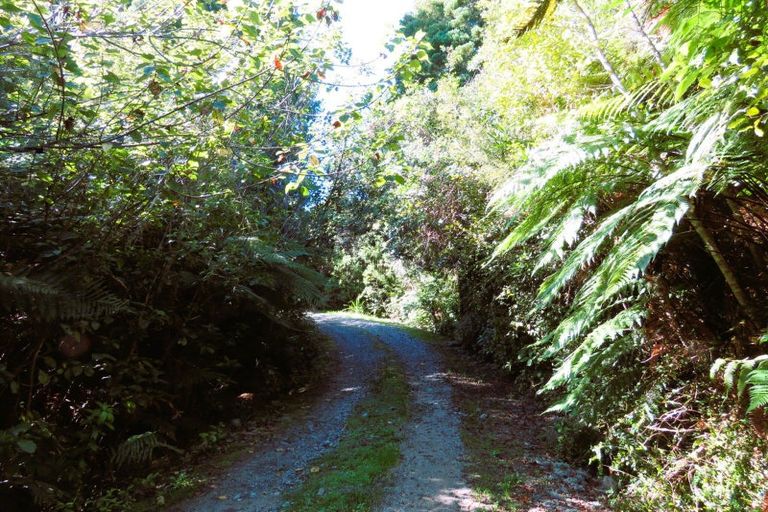 Photo of property in 304 Mokihinui Preserve, Seddonville, Westport, 7891