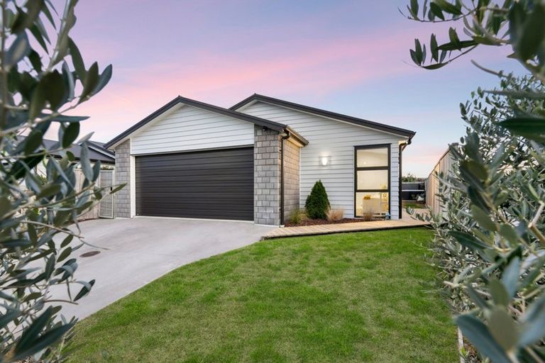 Photo of property in 64 Franks Way, Papamoa Beach, Papamoa, 3118