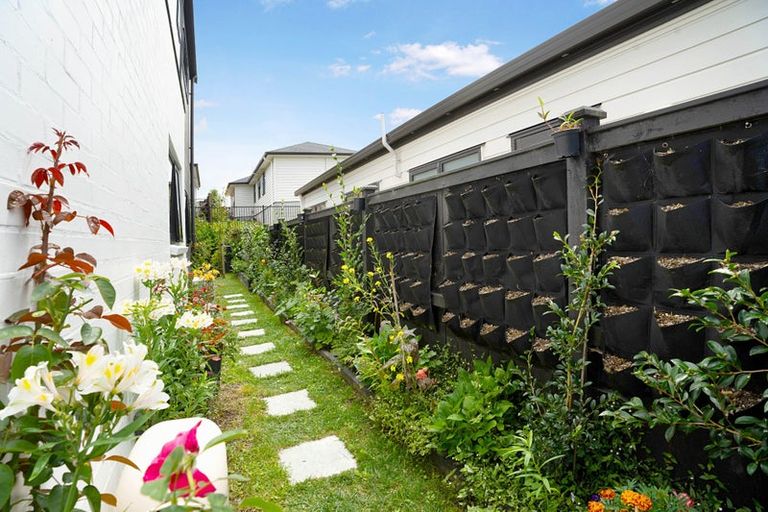 Photo of property in 43 Patrick Rice Drive, Swanson, Auckland, 0614