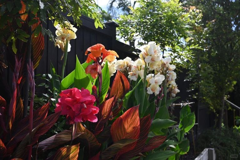 Photo of property in 9 Lyons Avenue, Murrays Bay, Auckland, 0630