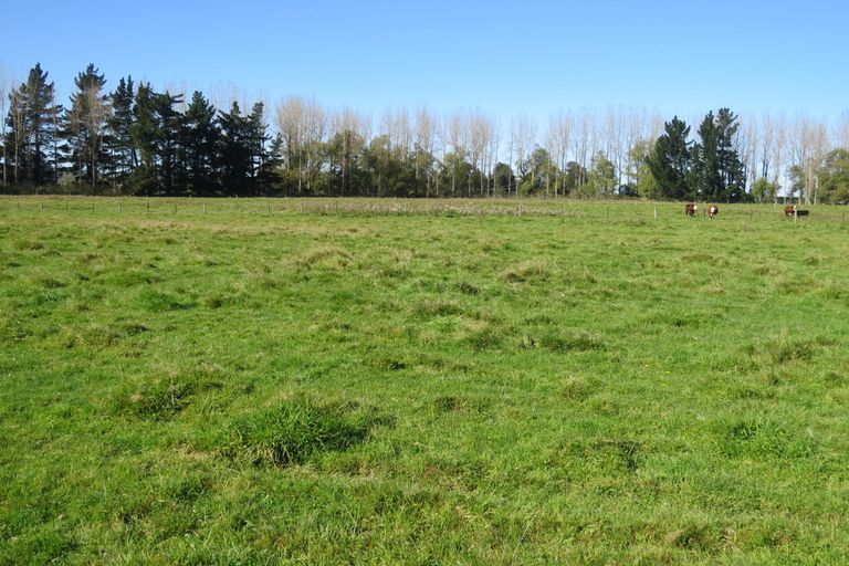 Photo of property in 141 Nixons Road, Fairlie, 7987