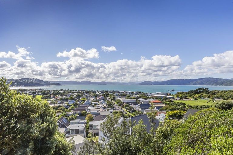Photo of property in 49 Mantell Street, Seatoun, Wellington, 6022