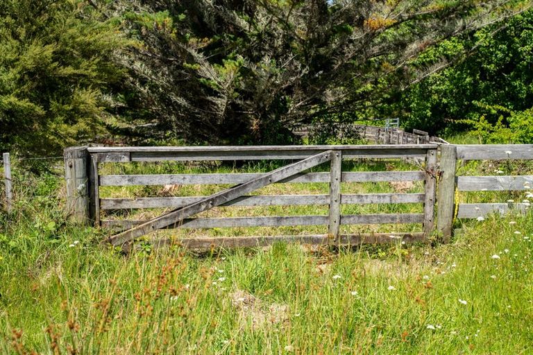 Photo of property in 278 Griffin Road, Maungaturoto, 0583