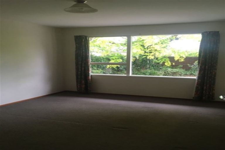 Photo of property in 10 Reeves Road, Opawa, Christchurch, 8023