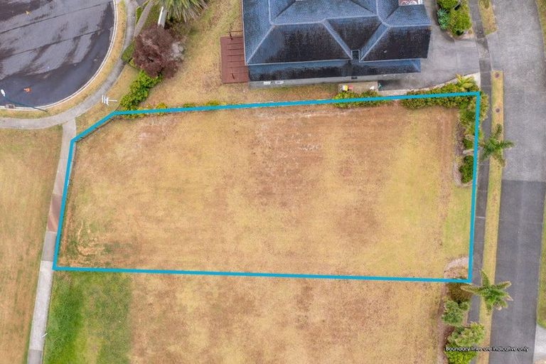 Photo of property in 4 Palm View Terrace, Gulf Harbour, Whangaparaoa, 0930