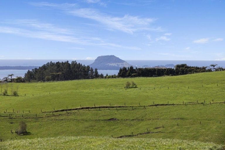 Photo of property in 596a Minden Road, Minden, Tauranga, 3176