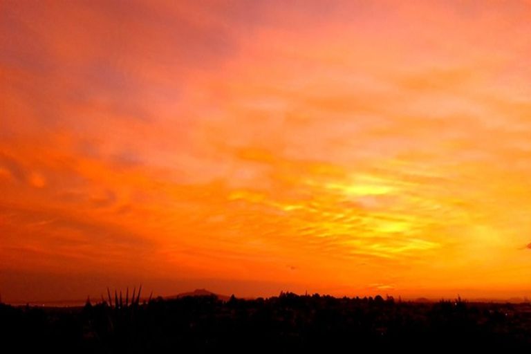 Photo of property in 2/50 Manuka Road, Glenfield, Auckland, 0629