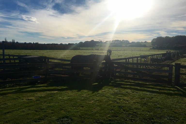 Photo of property in 390 Tuki Tuki Road, Haumoana, Hastings, 4180