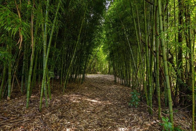 Photo of property in 217 Harvey Road, Marahau, Motueka, 7197